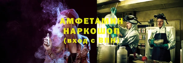 ПСИЛОЦИБИНОВЫЕ ГРИБЫ Михайлов