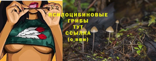 мдпв Нея