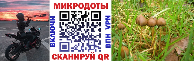 как найти закладки  Миньяр  Галлюциногенные грибы Cubensis 